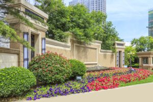 How Mint Julep Brings Texture and Color to Landscapes
